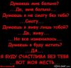 dimon_zema