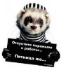 7(ronni)