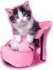 princess@