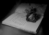 ghost_flower