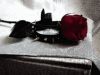 ghost_flower