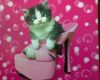 misaky_kato