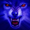 night_wolf!