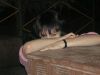 m@rys9i