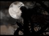 darknessdaydream