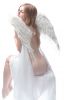 angel_snov