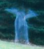 angel_snov