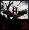 angel_snov