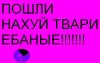 vova_vi