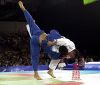 lion_judo