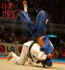 lion_judo
