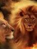 djlion