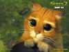 shrek~