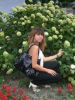 ciar@