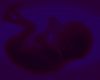 infra-red