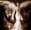 angel...