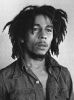 rastaman