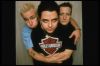 green_day