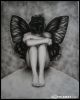 my_batterfly..