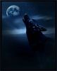 dark_roze