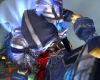 wowlife