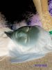 dead_eyes