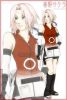 sakura_haruno