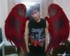 solar_wings