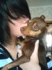 girl~