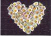 g@briell@