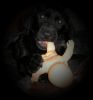 yegor