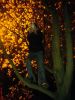 yegor