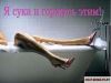 myrk@