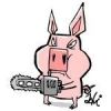 swine