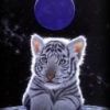 tigerik