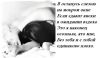 istina