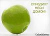 slavutich)