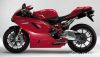 ducatti