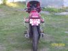 molot