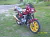 molot