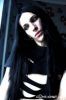 dark_raven