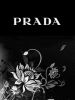 darida