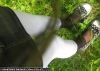 linsy!medys()0n