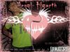 night_wolf