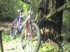 mtb