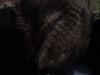cruel_intentions