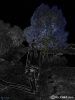 witchhunter