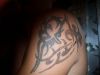 air_wulf