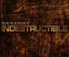 disturbed_den