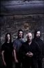 disturbed_den
